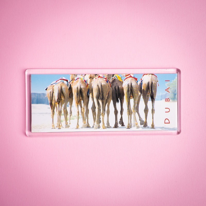 Pano Magnet 18 Beach Bums