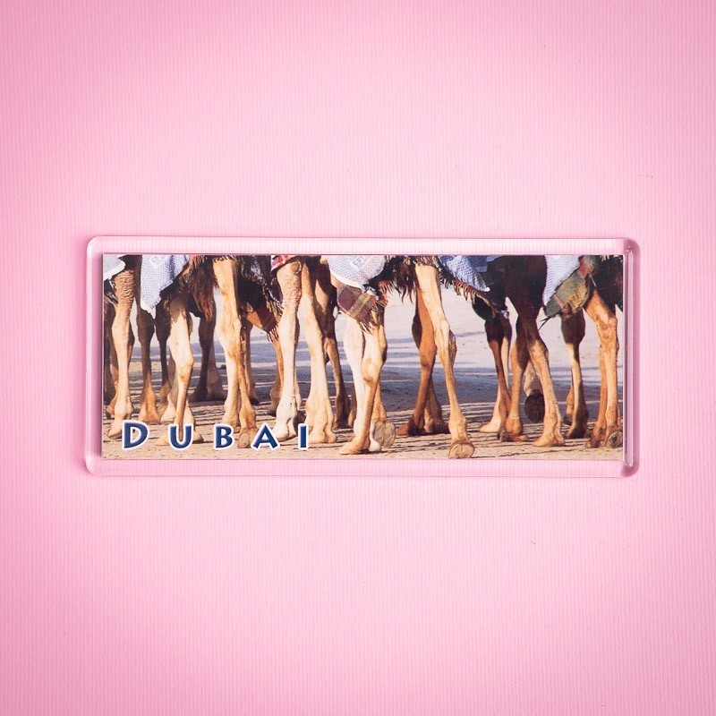 Pano Magnet 16 Knobly Knees