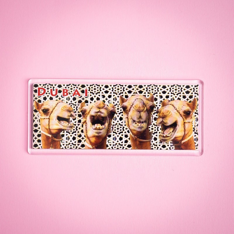 Pano Magnet 20 Having A Laugh