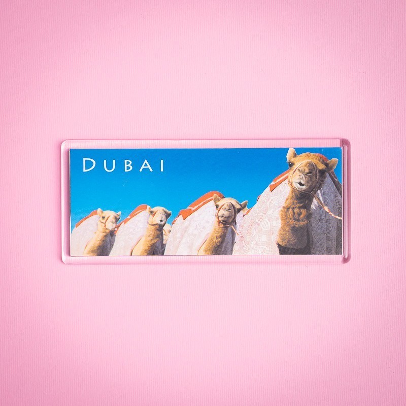 Pano Magnet 19 Camelio