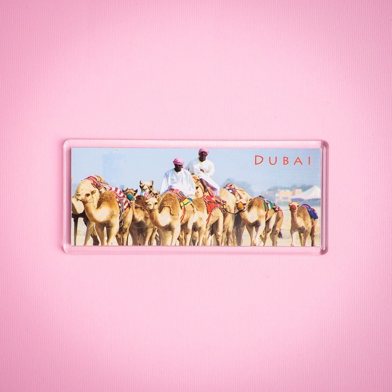 Pano Magnet 22 Camel Drivers