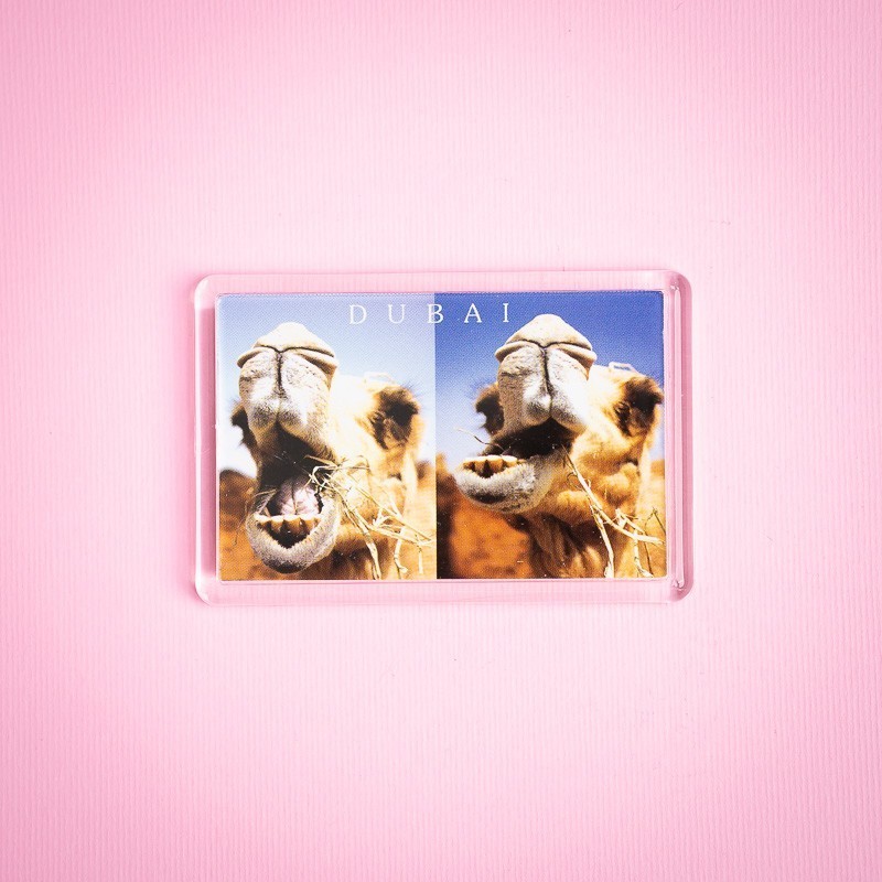 RMS 21 Chewing the Cud